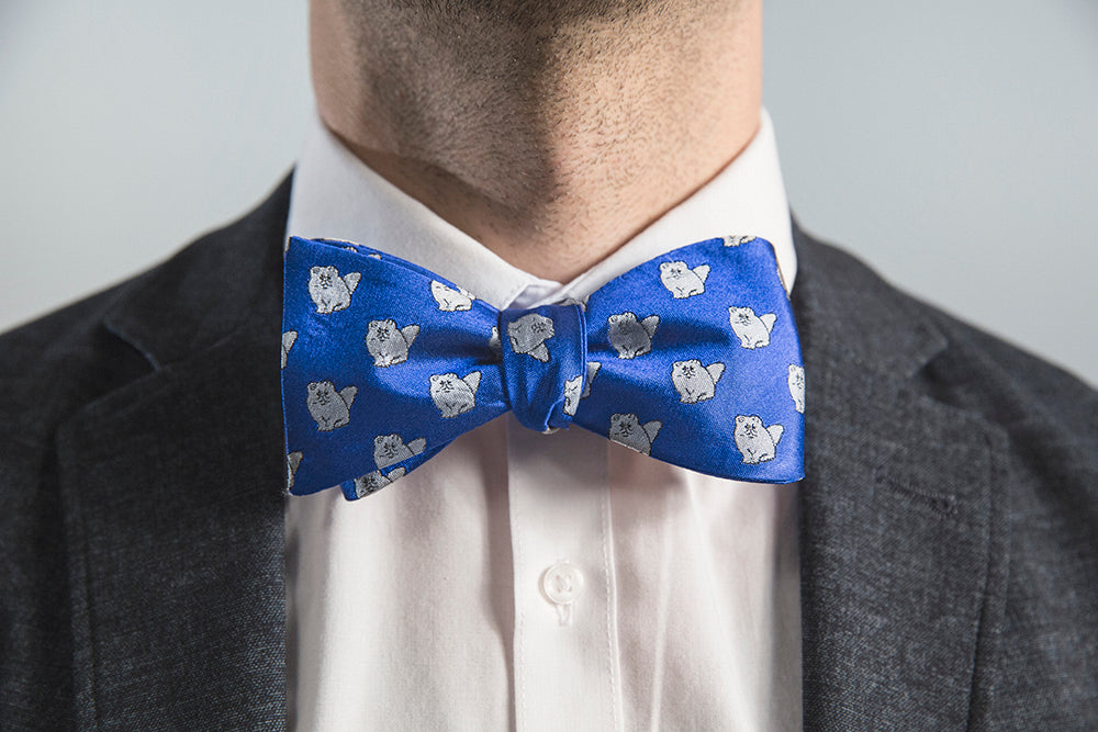 Persian Cat Bow Tie- Blue - OoOtie Bowties - One-of-a-Kind Creative Bow Ties 