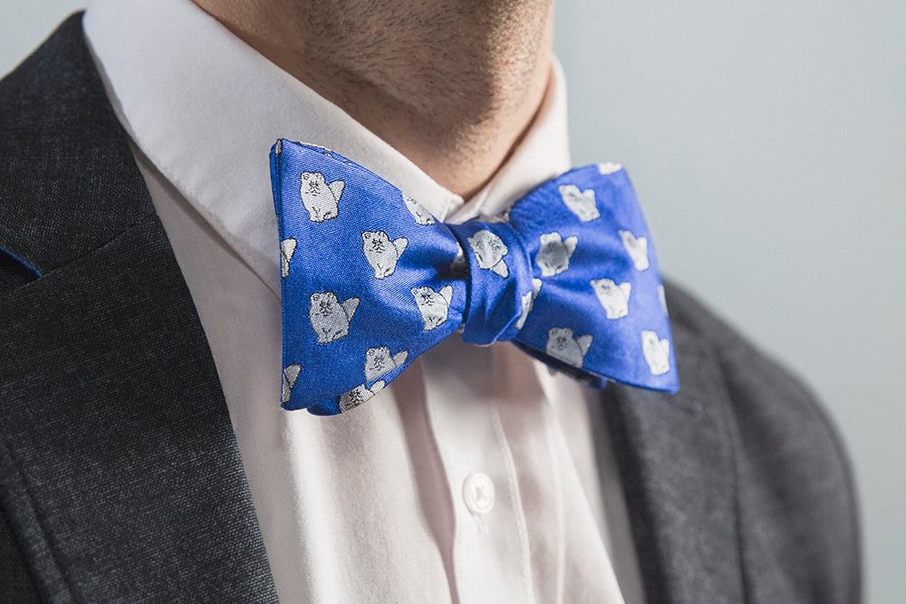 Persian Cat Bow Tie- Blue - OoOtie Bowties - One-of-a-Kind Creative Bow Ties 