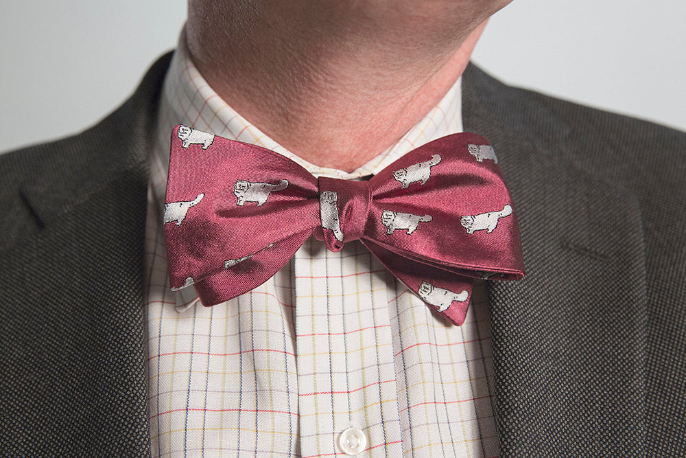 Persian Cat Bow Tie-Red - OoOtie Bowties - One-of-a-Kind Creative Bow Ties 