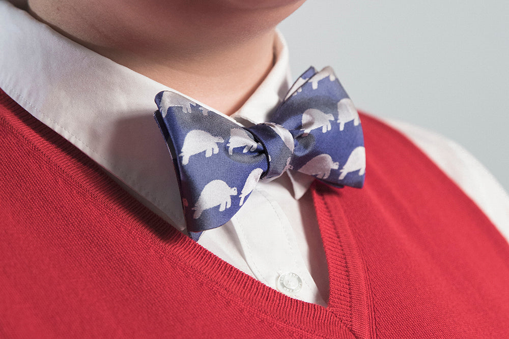Tortoise Bow Tie - Adult Pre-Tied - OoOtie Bowties - One-of-a-Kind Creative Bow Ties 